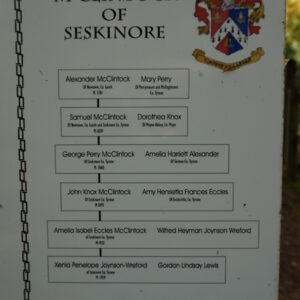 Seskinoredsc01232